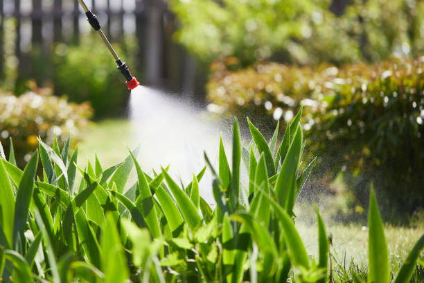 24/7 Emergency Wasp Removal experts in Clayton, MO